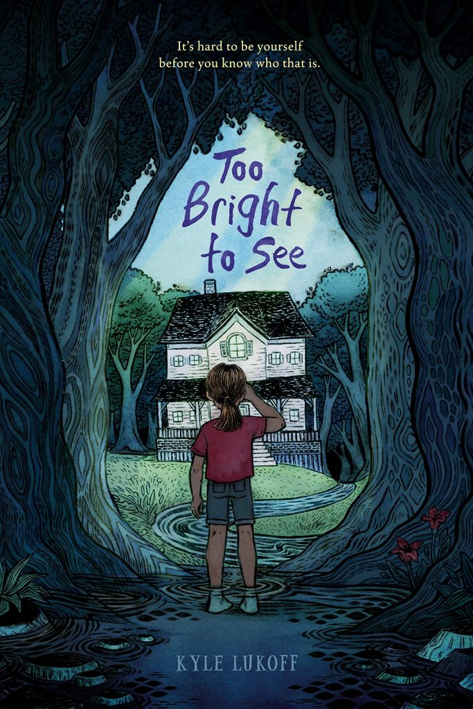 The cover of the book, 'Too Bright to See.'