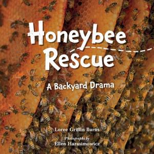 Honeybee Rescue cover