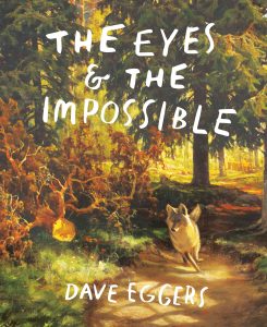 The Eyes & the Impossible cover
